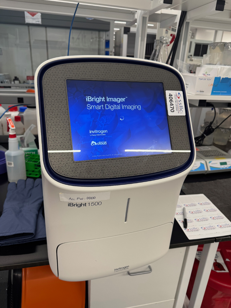 Image of Invitrogen iBright 1500 Smart Digital Imager